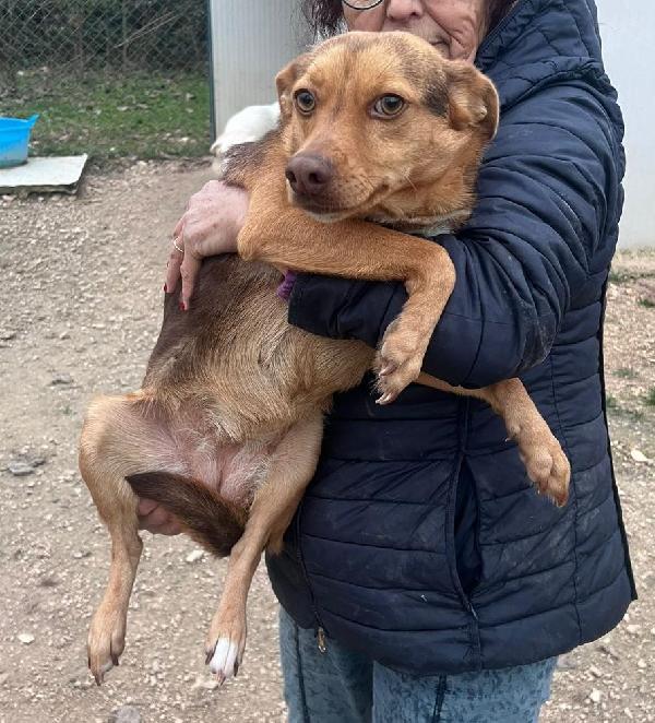 BIANCANEVE ASPETTA TE Foto 2